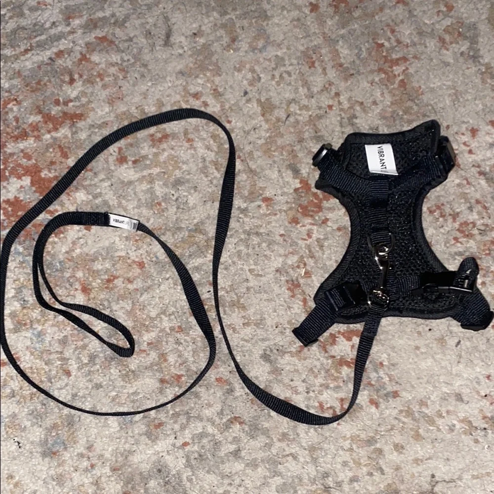 Black Cat Pet Harness